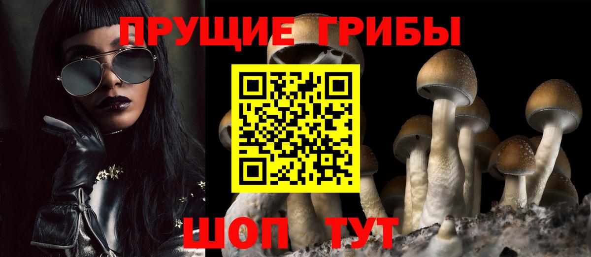 Симферополь  Псилоцибиновые грибы мицелий  Вход с VPN 