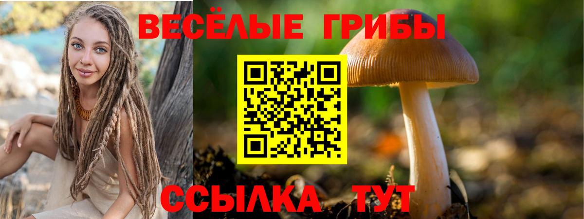 Галлюциногенные грибы мухоморы Симферополь
