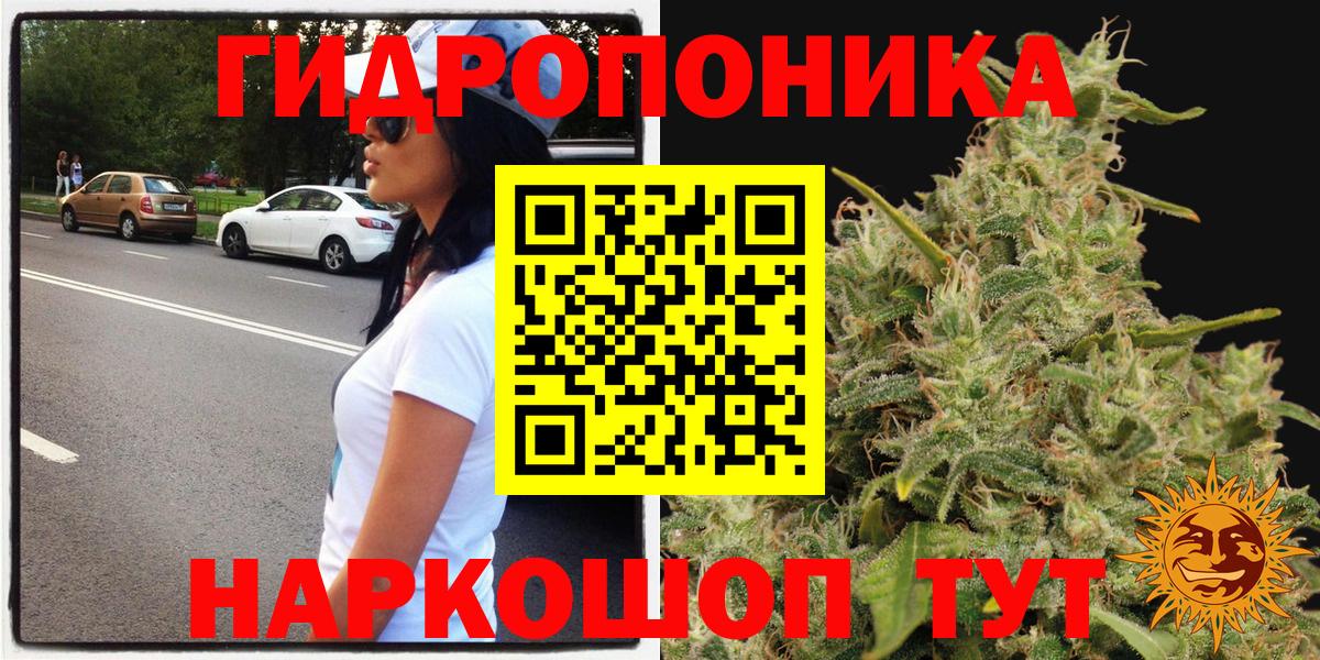 Бошки марихуана SATIVA & INDICA  Бошки Шишки планчик  Вход с VPN  Бошки марихуана ГИДРОПОН  Конопля планчик  Симферополь 